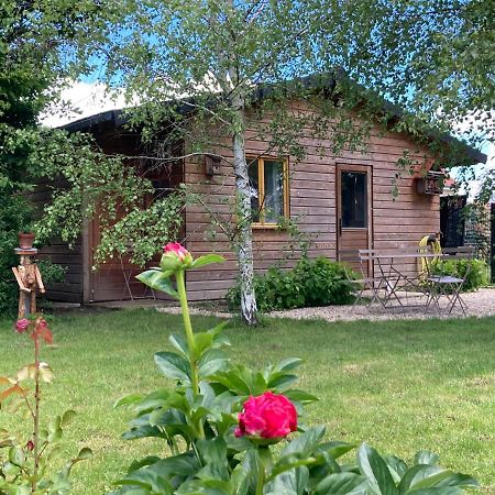 Chalet Proche Orleans Centre Saint-Jean-le-Blanc Exterior foto