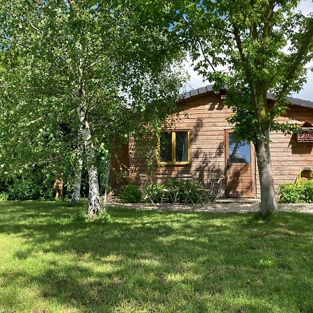 Chalet Proche Orleans Centre Saint-Jean-le-Blanc Exterior foto