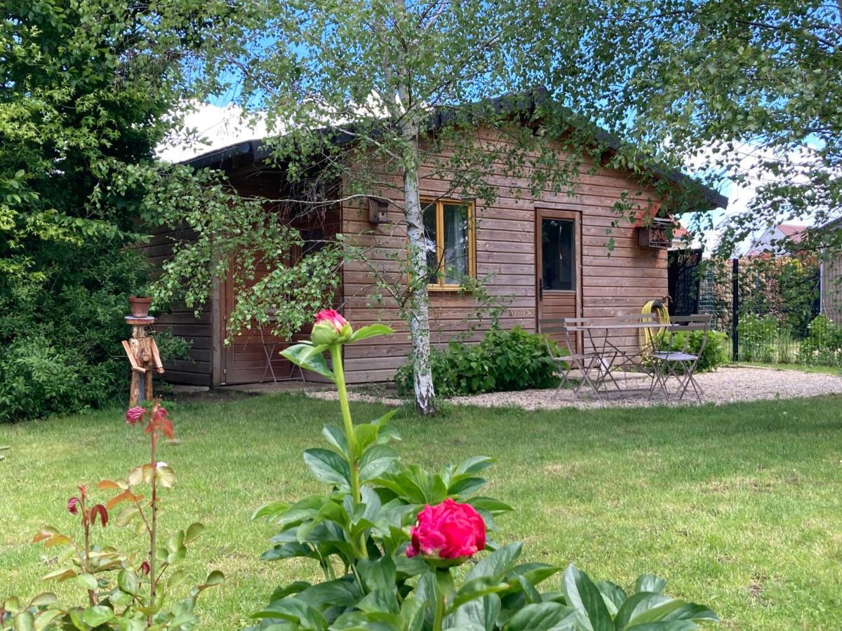 Chalet Proche Orleans Centre Saint-Jean-le-Blanc Exterior foto
